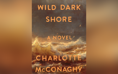 ‘Wild Dark Shore’ by Charlotte McConaghy